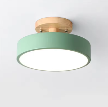 Velnee Nordic Ceiling Light