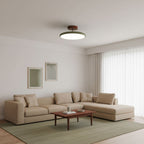 Drift Adjustable Semi Flush Mount Sloped Ceiling Light