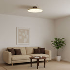 Drift Adjustable Semi Flush Mount Sloped Ceiling Light