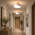 Velnee Nordic Ceiling Light
