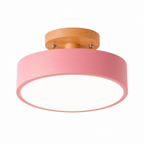 Velnee Nordic Ceiling Light