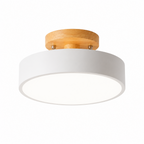 Velnee Nordic Ceiling Light