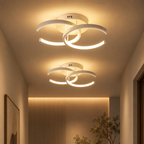 Velnee Modern Ceiling Light