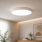 Velnee Circular Flush Mount Ceiling Light