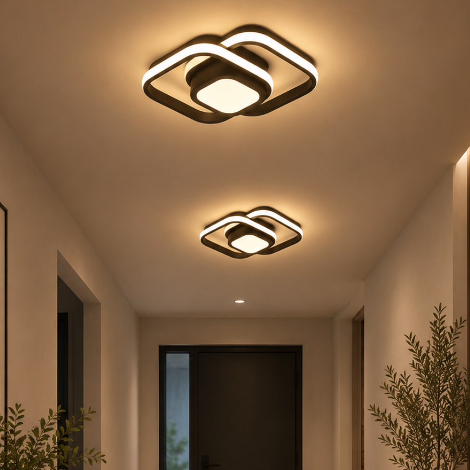 Velnee Modern Ceiling Light
