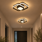 Velnee Modern Ceiling Light
